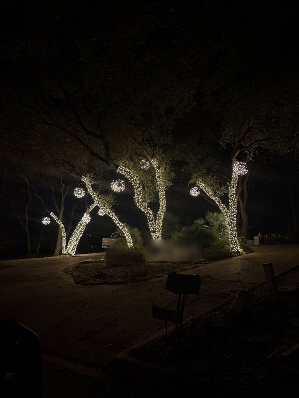 Live oak trees wrapped in white Christmas lights with hanging light balls