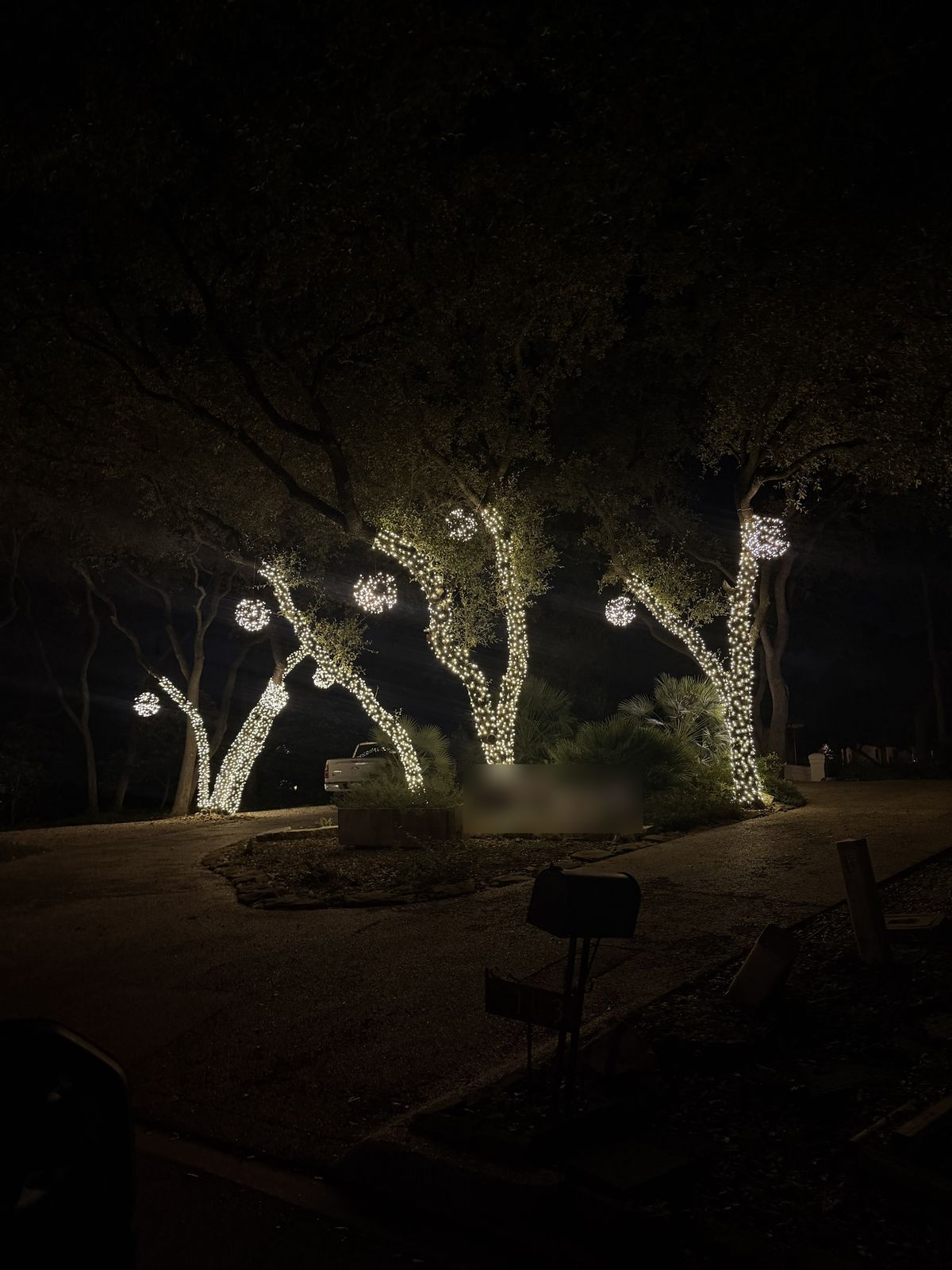Live oak trees wrapped in white Christmas lights with hanging light balls